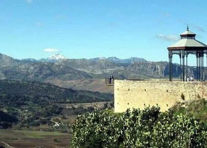 Vii Morales & Arnal Ronda